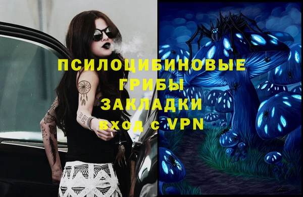 винт Саяногорск