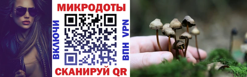 Галлюциногенные грибы прущие грибы  Купить  Похвистнево 